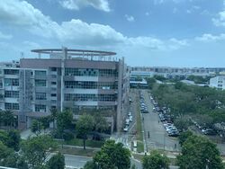 Vertex (D14), Factory #504167381